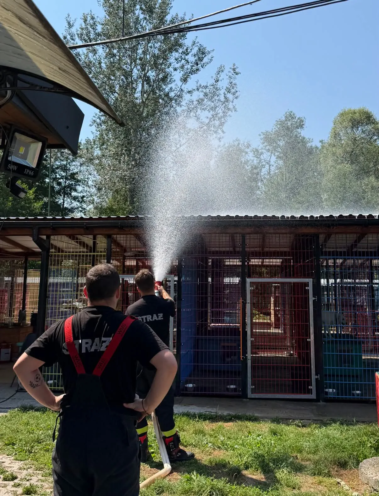 Zdjęcie do wpisu: 🚒💦 Wielkie podziękowania dla OSP KSRG Rzezawa! ❤️🐾