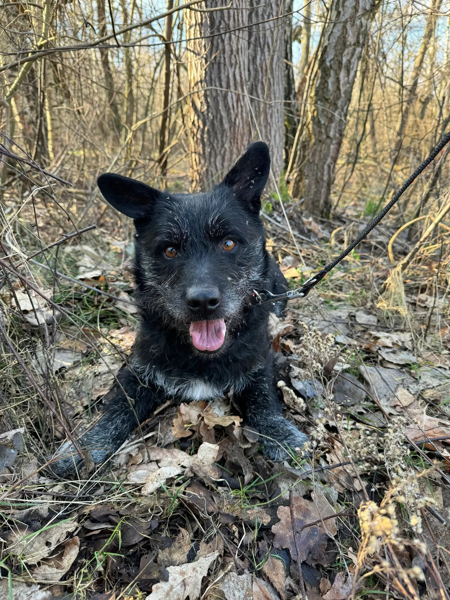 Zdjęcie: RUFUS