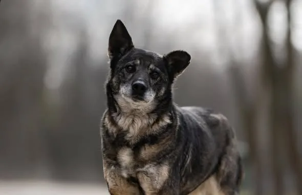 Zdjęcie: DOROTKA