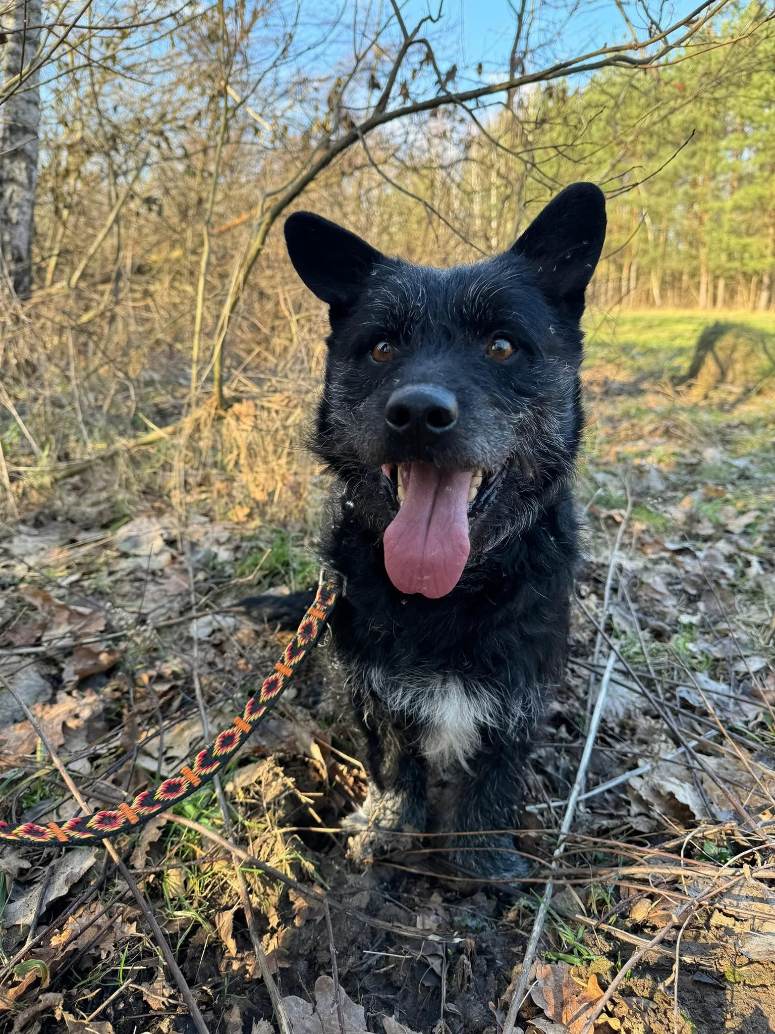 Zdjęcie: RUFUS