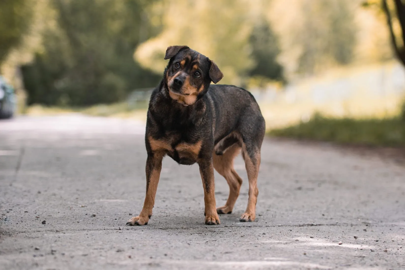 Zdjęcie: OSKAR