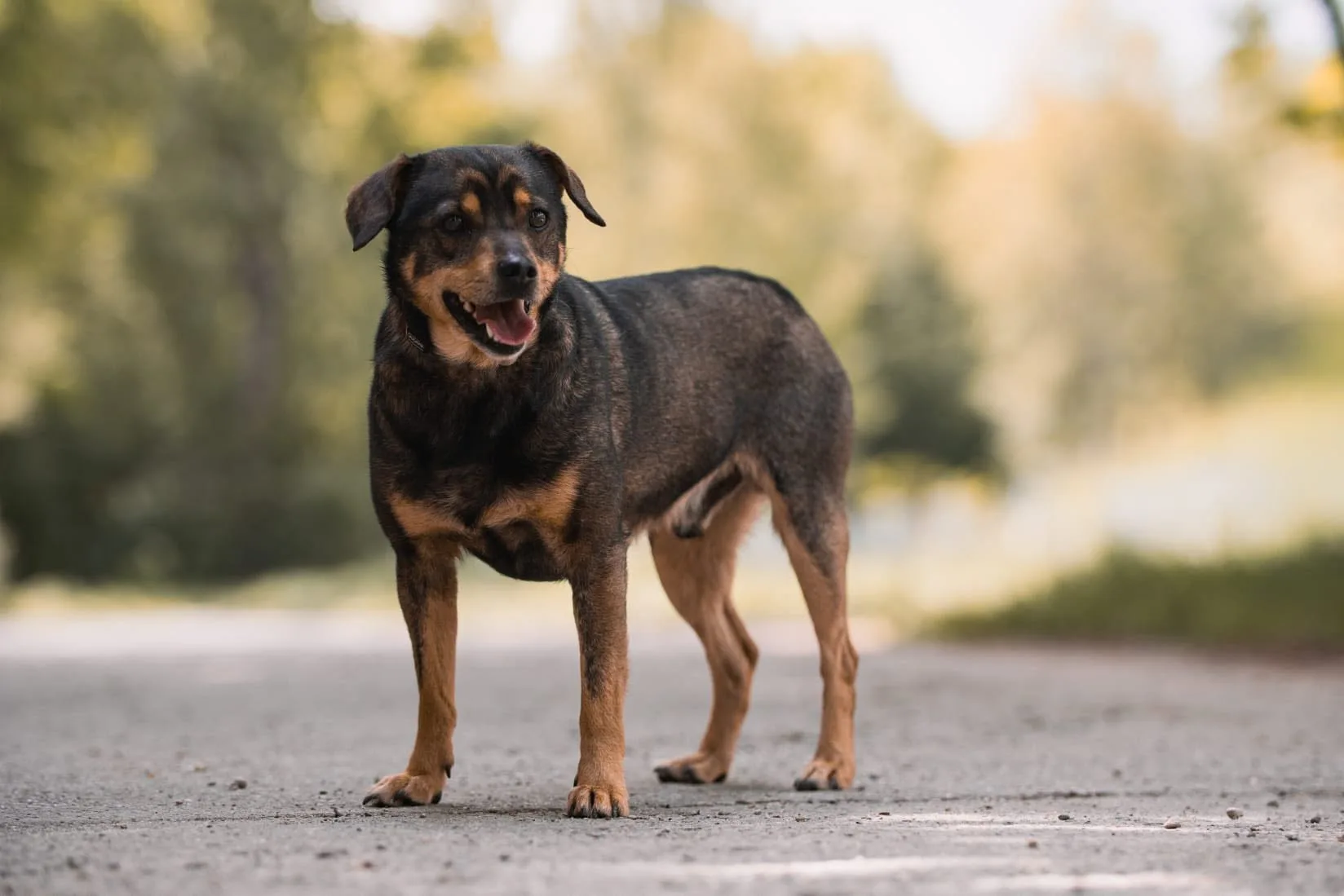 Zdjęcie: OSKAR