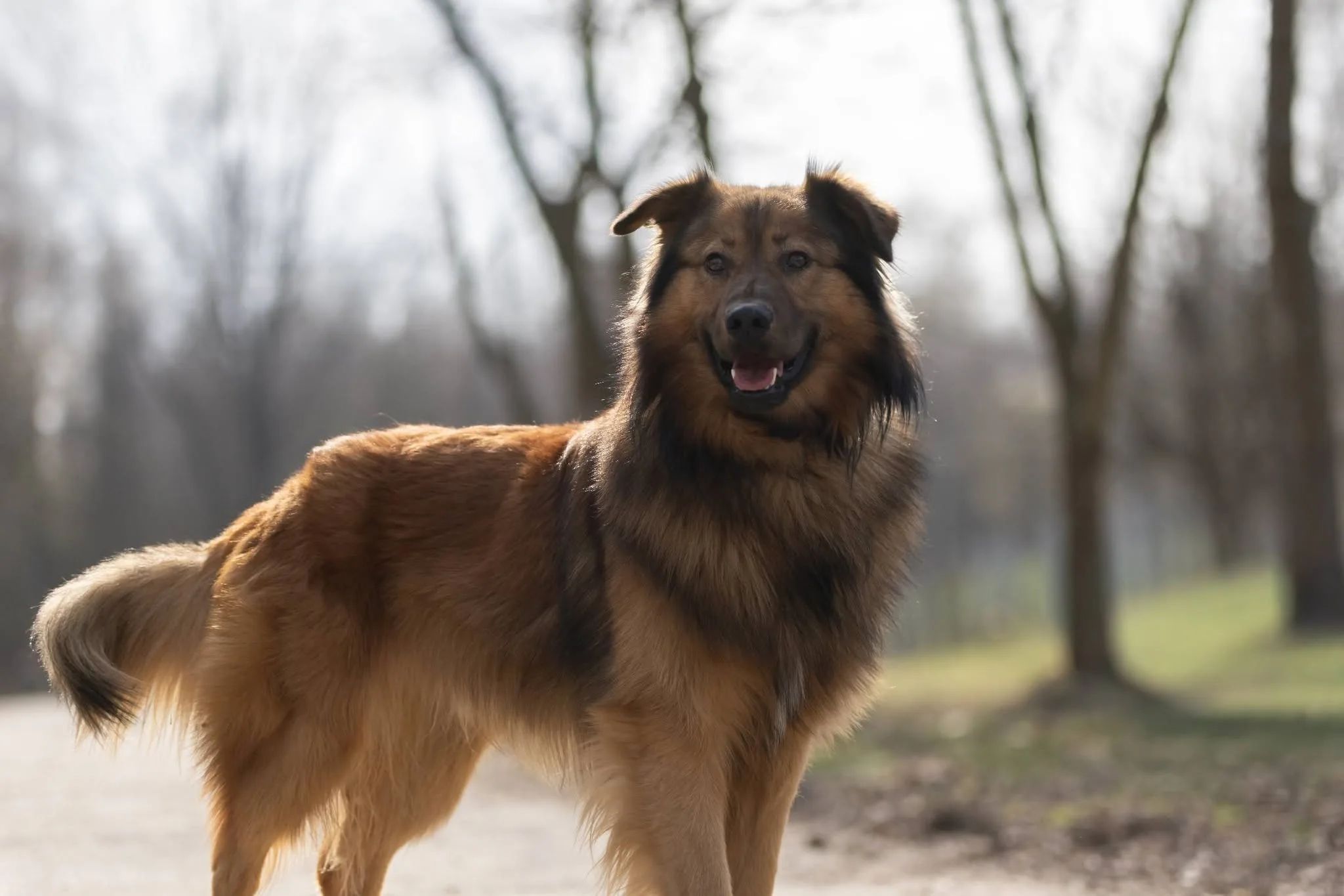 Zdjęcie: RIKI