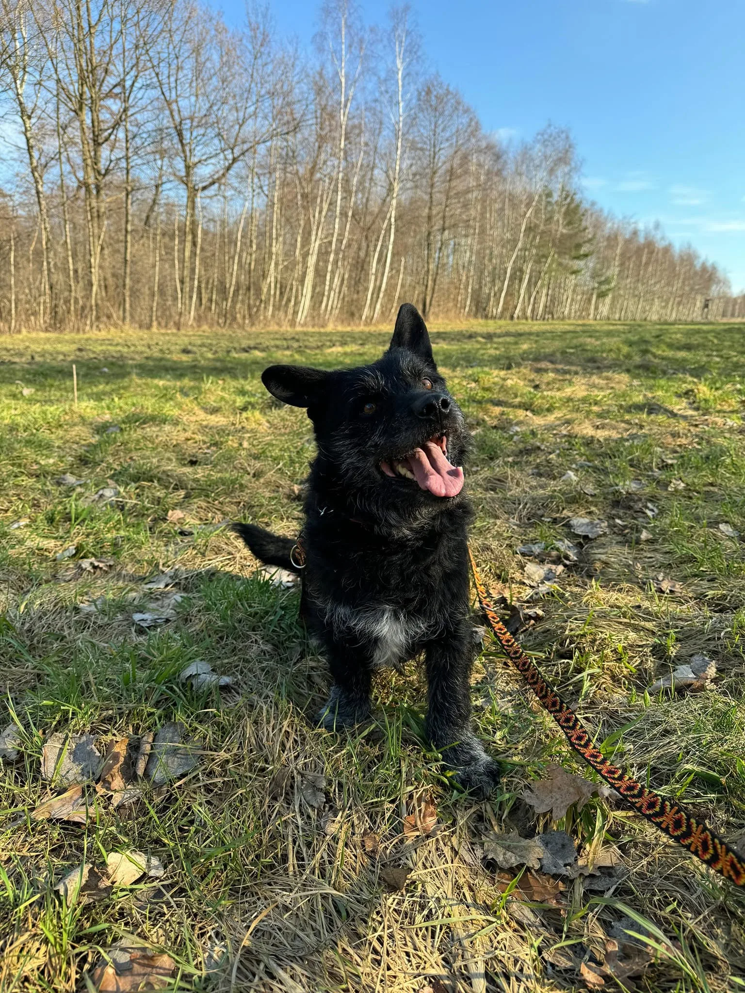 Zdjęcie: RUFUS