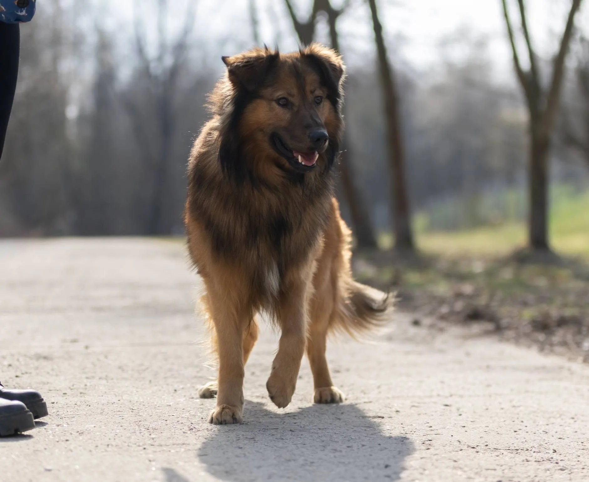 Zdjęcie: RIKI