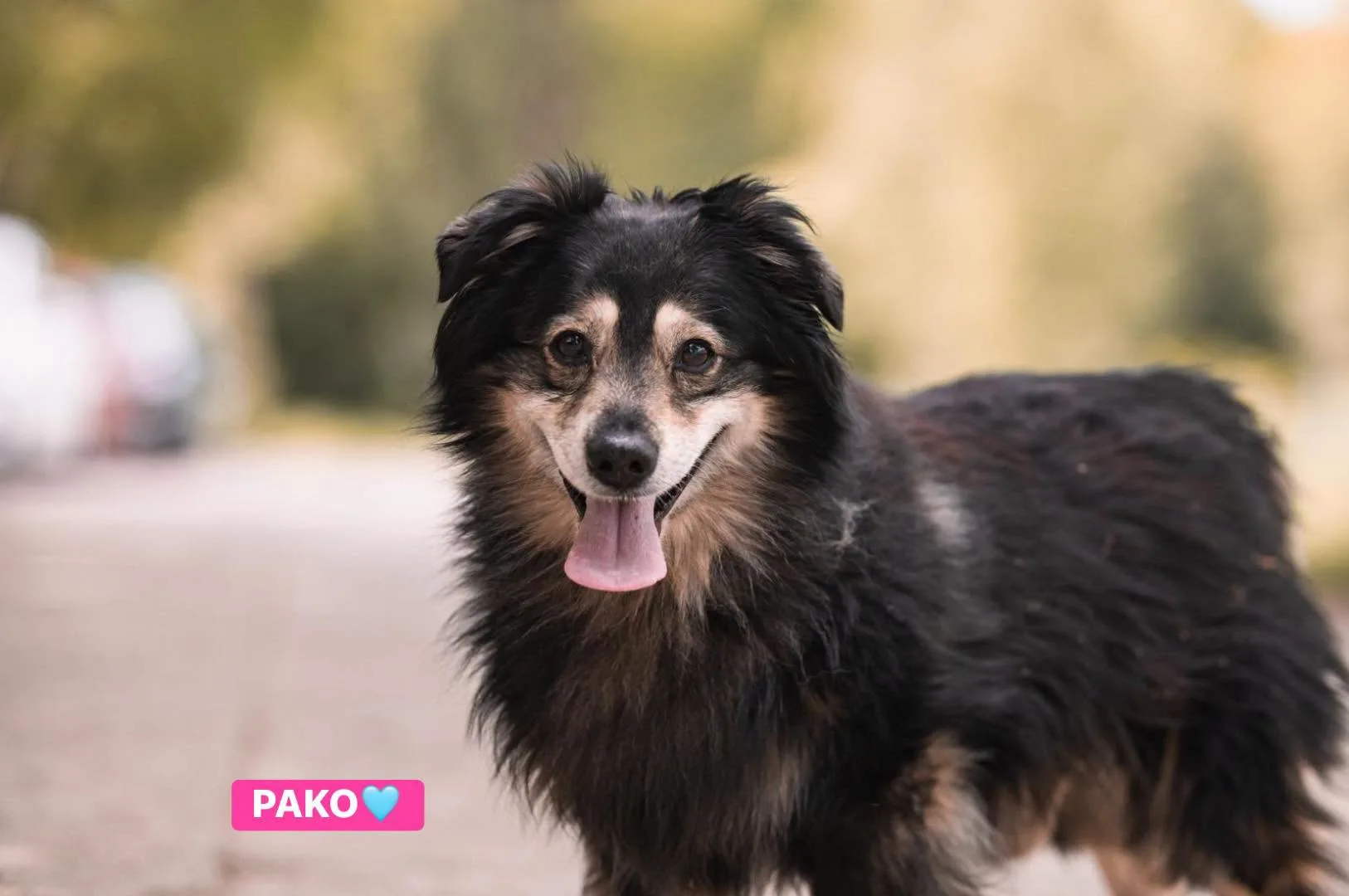 Zdjęcie: PAKO