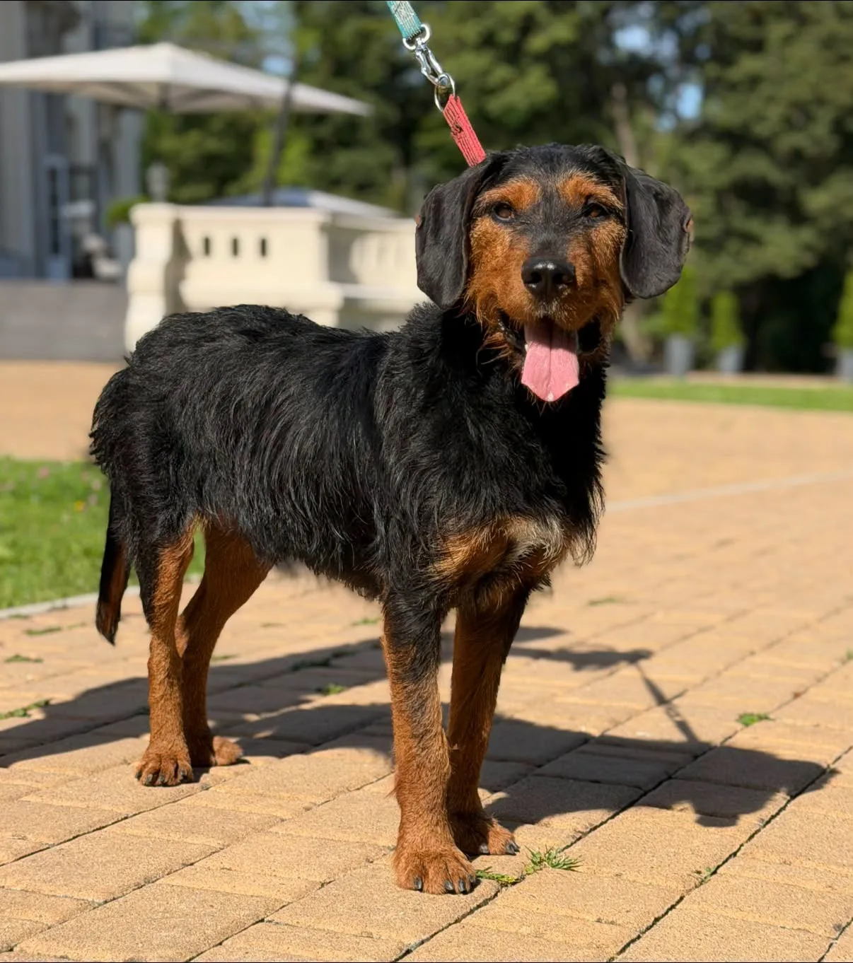 Zdjęcie: RINGO