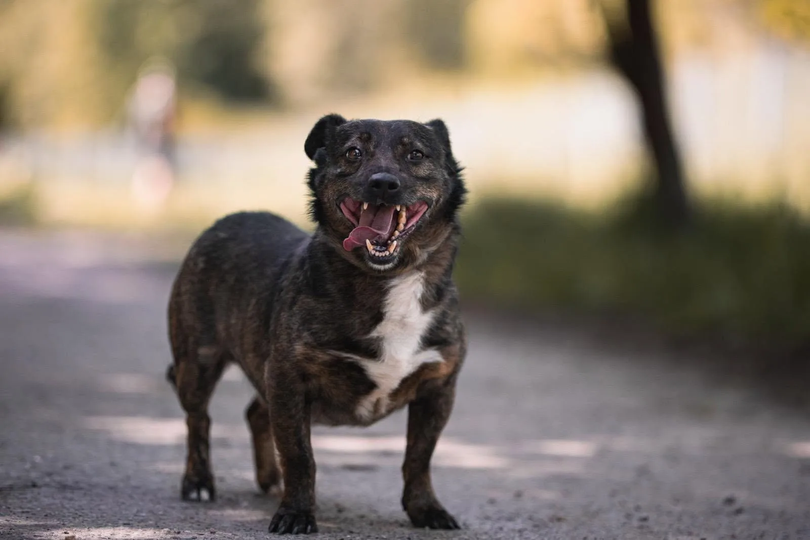 Zdjęcie: MOWGLI