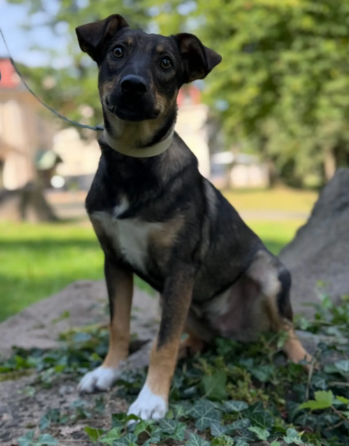 Zdjęcie: Brus & Bary